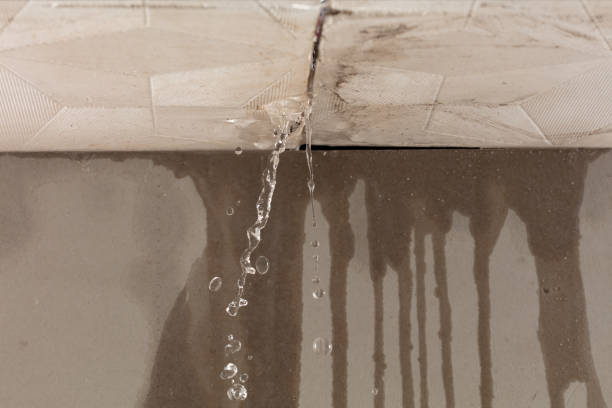 Professional Water Damage Repair technician working in Fitchburg, MA